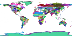 WWF terrestrial ecoregions.