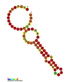 ZEB2_AS1_2: Secondary structure taken from the Rfam database. Family RF01985