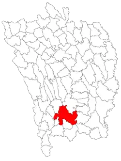 Location in Vaslui County